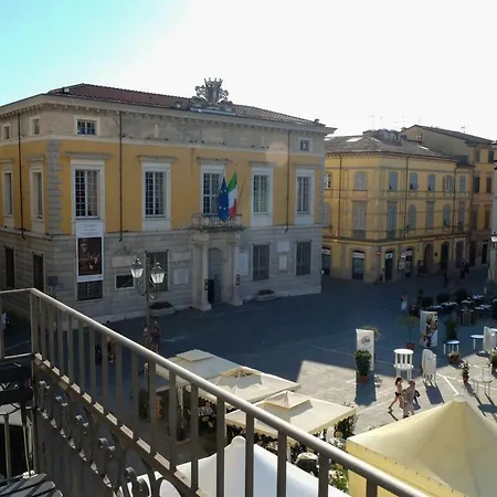 Sunflower Network Sarzana